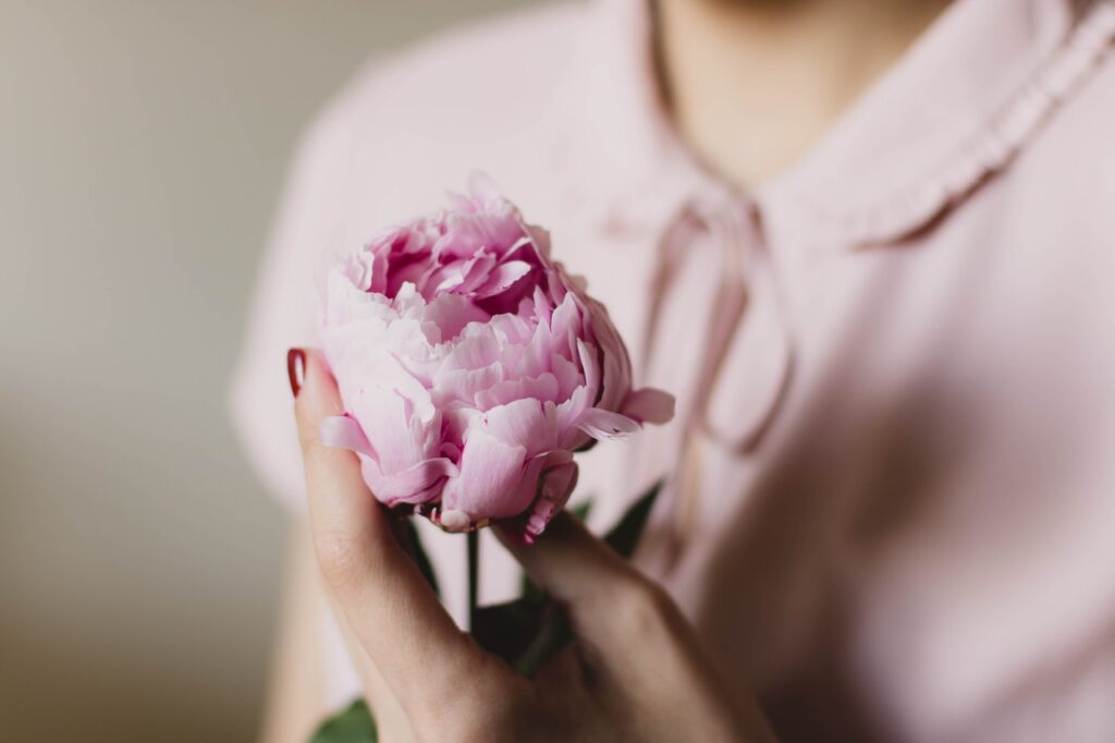 PEONY for wedding